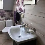 Nad Wisla Apartment Ustron